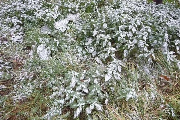 В конце недели в России выпадет первый снег, и нагрянут морозы