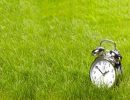 часы,будильник,зеленая трава,здоровье,
