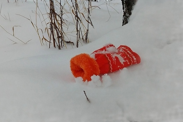 рукавичка в снегу,