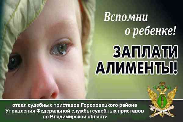 Приставы призвали граждан выплатить долги по алиментам в честь Дня защиты детей