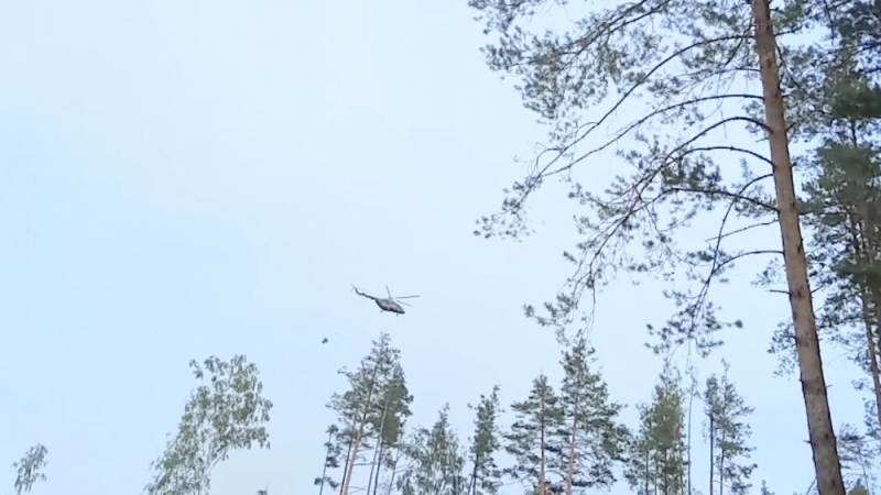 Лесной пожар во Владимирской области тушат авиатехникой. Видео