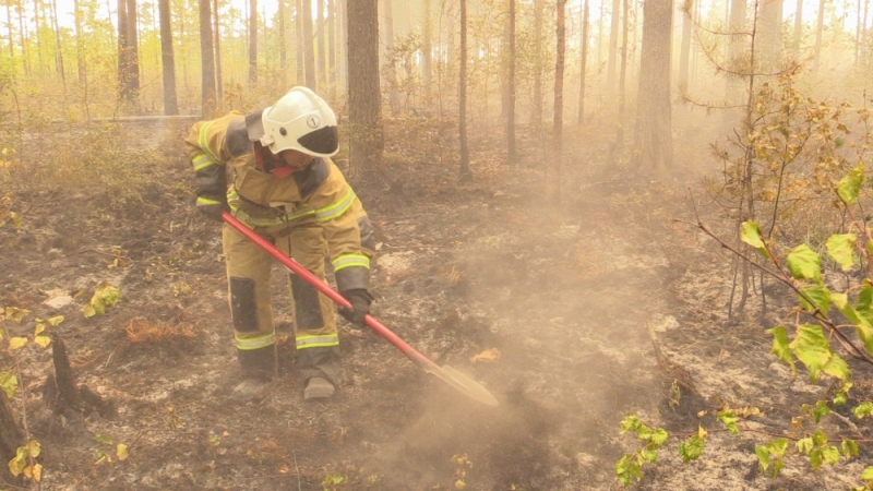 Владимирская область,Петушинский район,горят леса,природный пожар,лесной пожар,