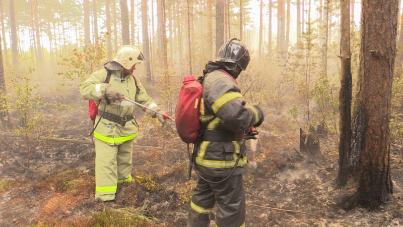 Владимирская область,Петушинский район,горят леса,природный пожар,лесной пожар,