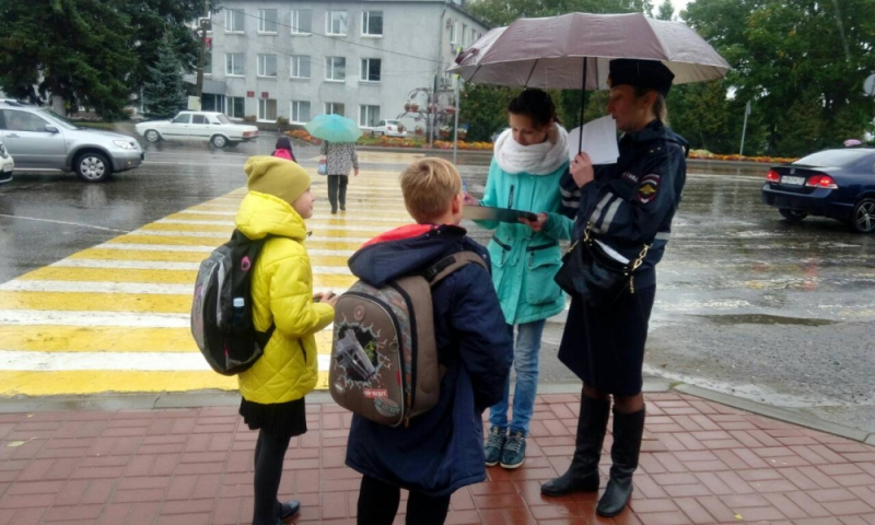 В Гороховце сотрудники ГИБДД и волонтеры провели профилактическую акцию на улицах города