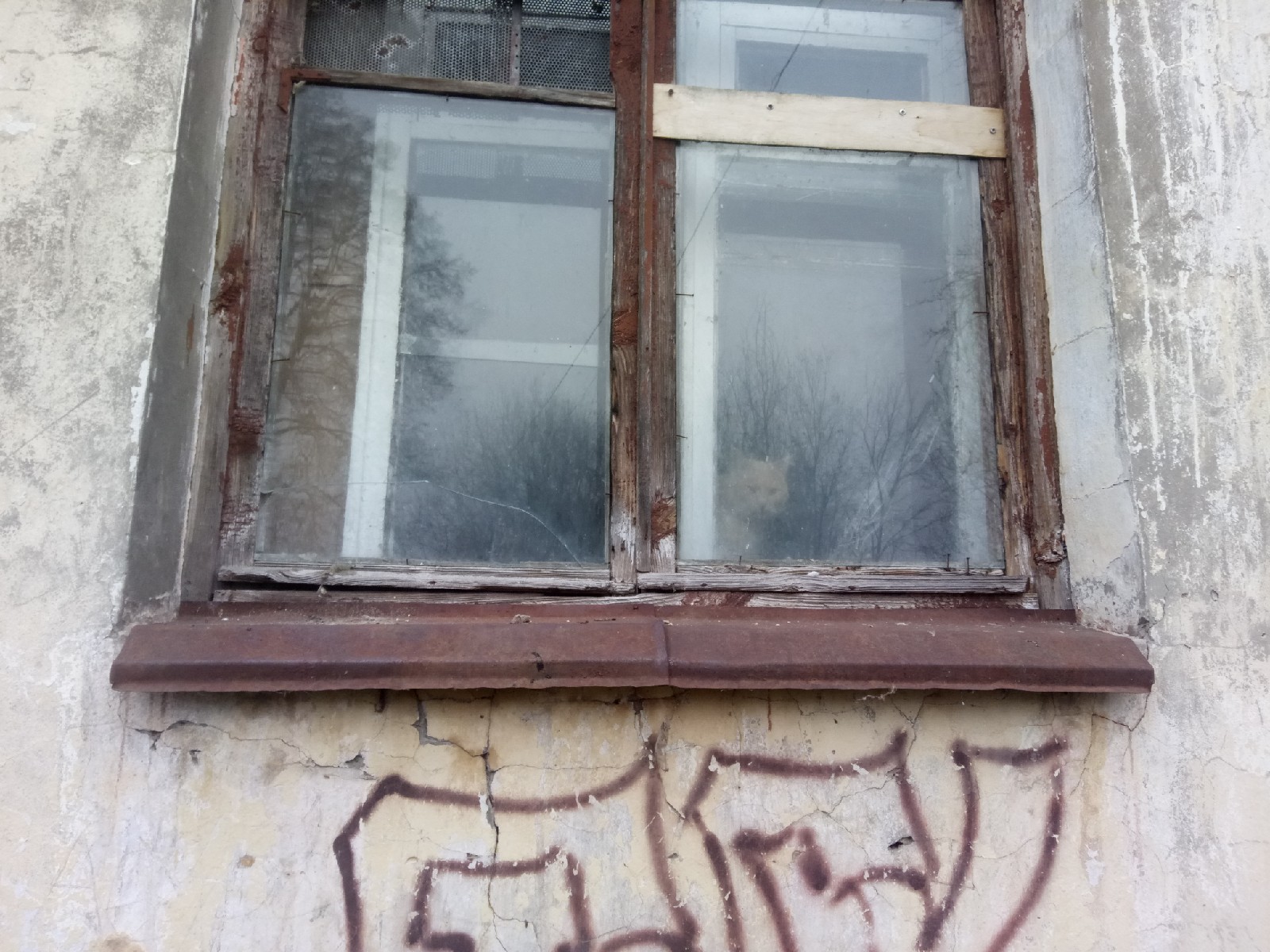 Кошмар на улице Сенькова