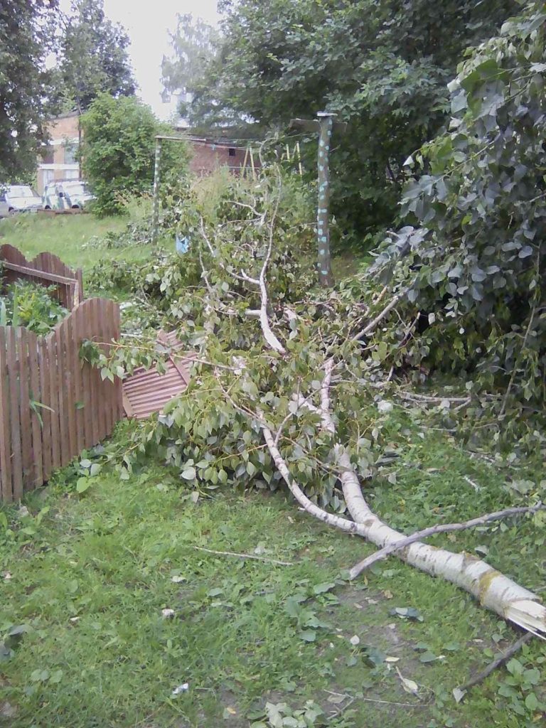ураган упало дерево вязники жуковского,