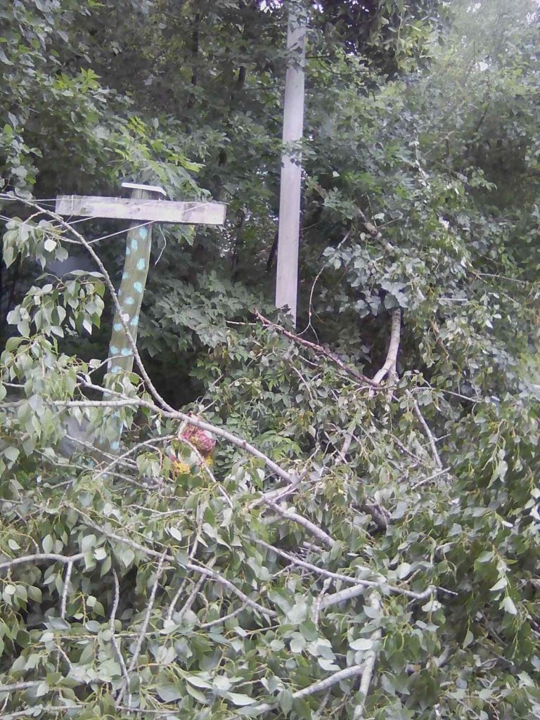 ураган упало дерево вязники жуковского,