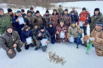 зимняя рыбалка соревнования плотина деревня Октябрьская Вязниковский район март 2021 год,